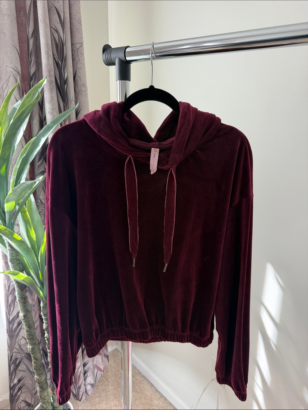 Anthropologie Velvet Drawstring Hoodie in Burgundy